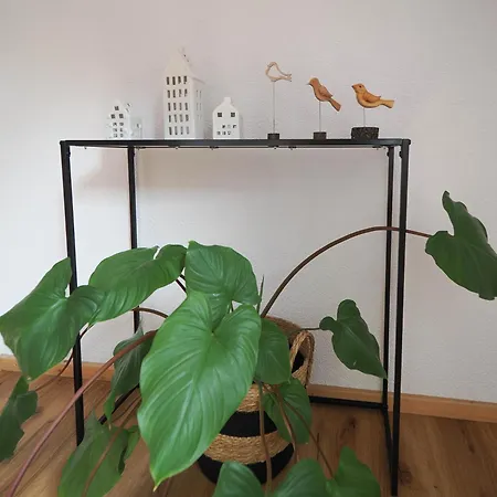 Waldheim Отель Плицхаузен