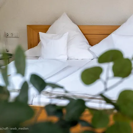 Waldheim Отель *